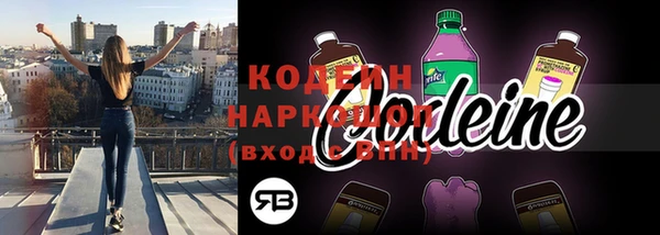 дживик Вяземский