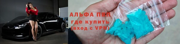 сатива Волоколамск