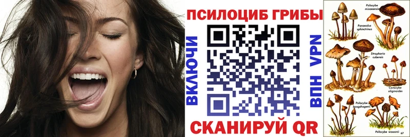 закладка  ОМГ ОМГ ТОР  Псилоцибиновые грибы ЛСД  Братск 